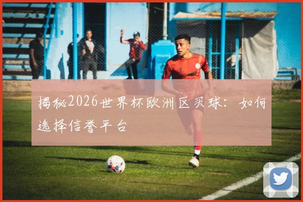 揭秘2026世界杯欧洲区买球：如何选择信誉平台