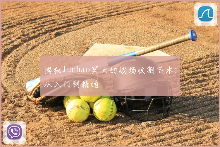 揭秘Junhao冥犬的战场收割艺术：从入门到精通