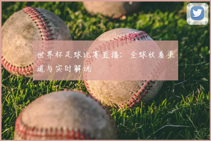 世界杯足球比赛直播：全球收看渠道与实时解说