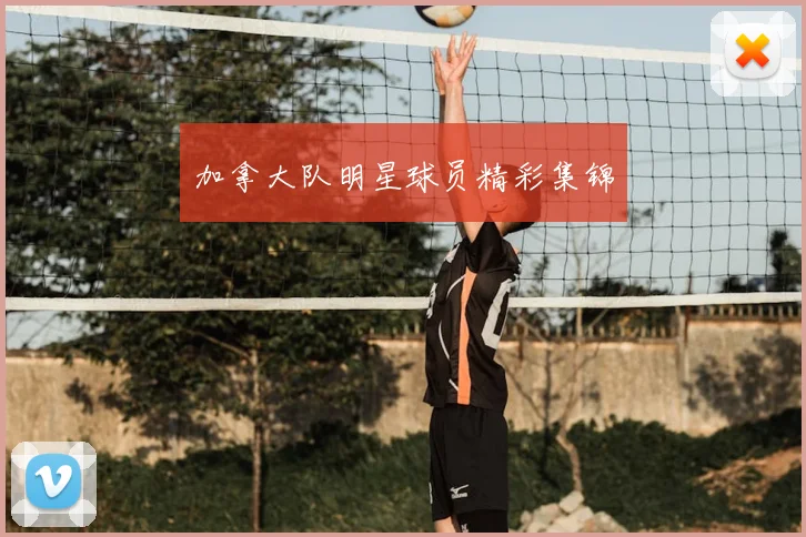 加拿大队明星球员精彩集锦