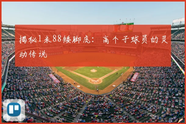 揭秘1米88矮脚虎：高个子球员的灵动传说