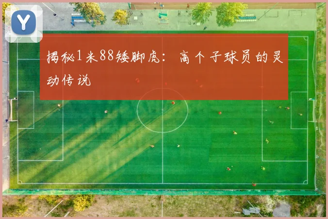 揭秘1米88矮脚虎：高个子球员的灵动传说
