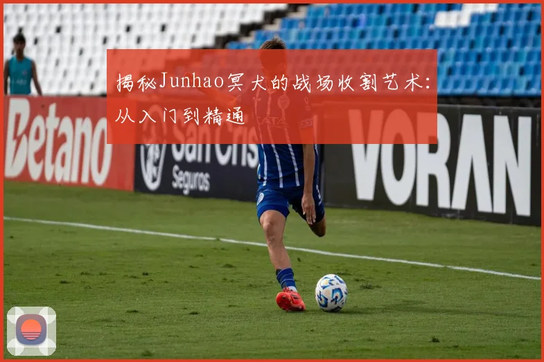 揭秘Junhao冥犬的战场收割艺术：从入门到精通